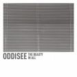 Oddisee - The Beauty In All / Tangible Dream