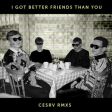 CESRV - I Got Better Friends Than You (CESRV RMXS)