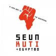 Seun Kuti & Egypt 80 - A Long Way To The Beginnings
