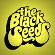 A banda The Black Seeds começa hoje sua turnê no Brasil. Confira as datas e programe-se!