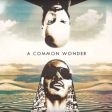 “A Common Wonder” junta Common e Stevie Wonder em novo projeto do produtor Amerigo Gazaway
