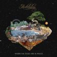 Após cinco anos, a banda Antibalas grava novo álbum: "Where The Gods Are In Peace"